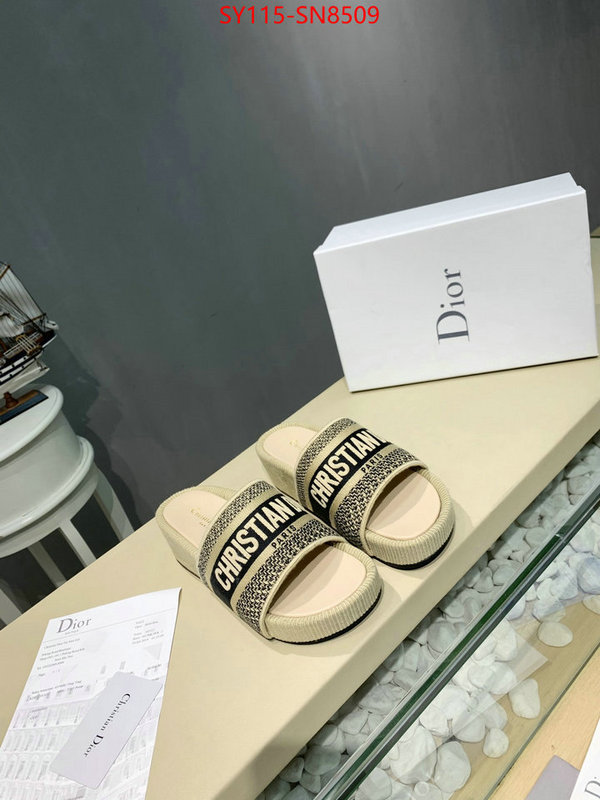 Women Shoes-Dior,sell online , ID: SN8509,$: 115USD