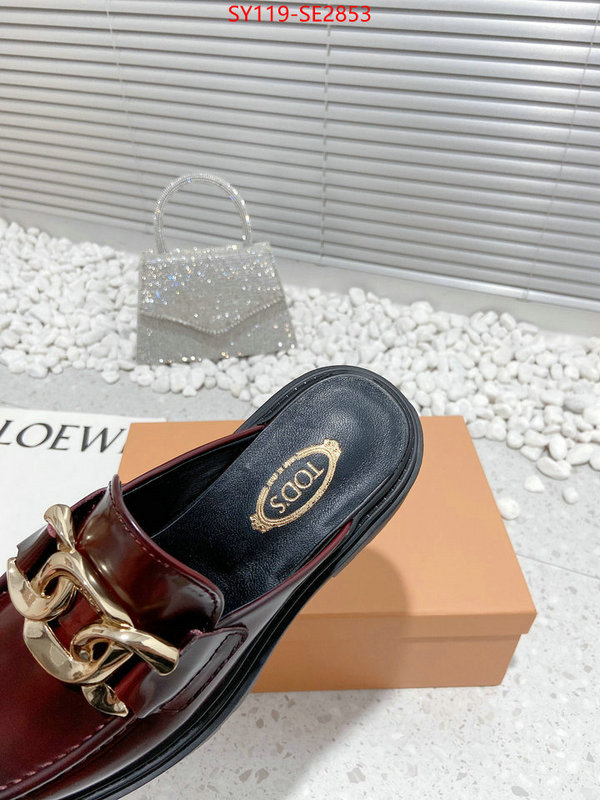 Women Shoes-Tods,top fake designer ,high quality replica designer , ID: SE2853,$: 119USD