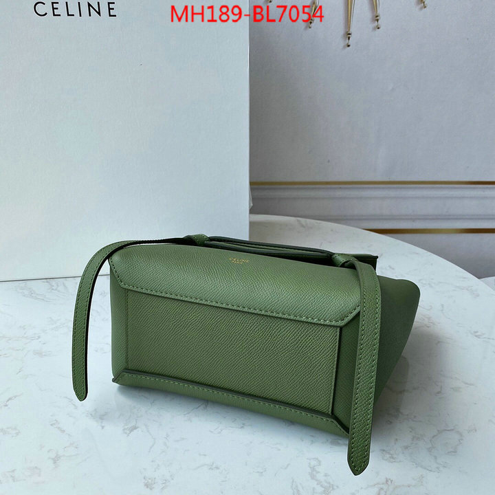 CELINE Bags(TOP)-Belt Bag,wholesale ,ID: BL7054,$: 189USD