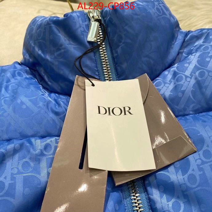 Down jacketMen-Dior,we offer , ID: CP856,$: 229USD