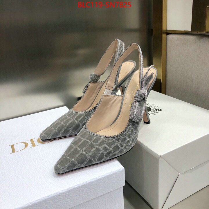 Women Shoes-Dior,buy 1:1 , ID: SN7825,$: 119USD