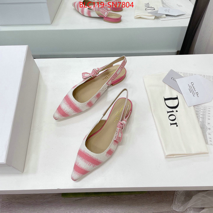 Women Shoes-Dior,wholesale designer shop , ID: SN7804,$: 119USD