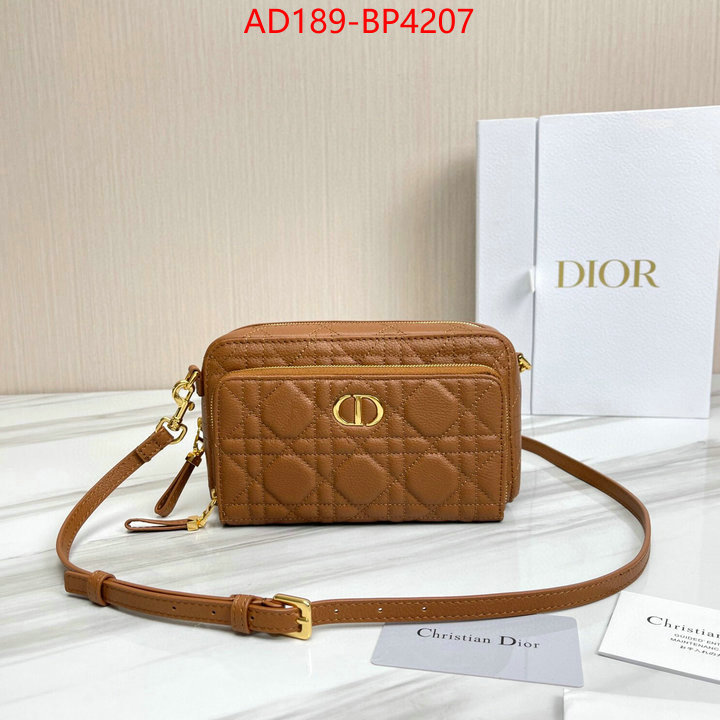 Dior Bags(TOP)-Other Style-,ID: BP4207,$: 189USD