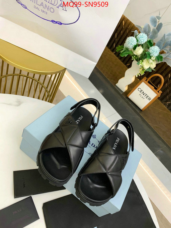 Women Shoes-Prada,top quality , ID: SN9509,$: 99USD