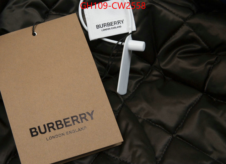 Clothing-Burberry,what is a counter quality , ID: CW2558,$: 109USD