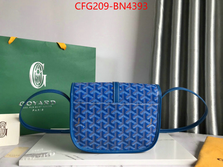 Goyard Bags(TOP)-Diagonal-,ID: BN4393,$: 209USD