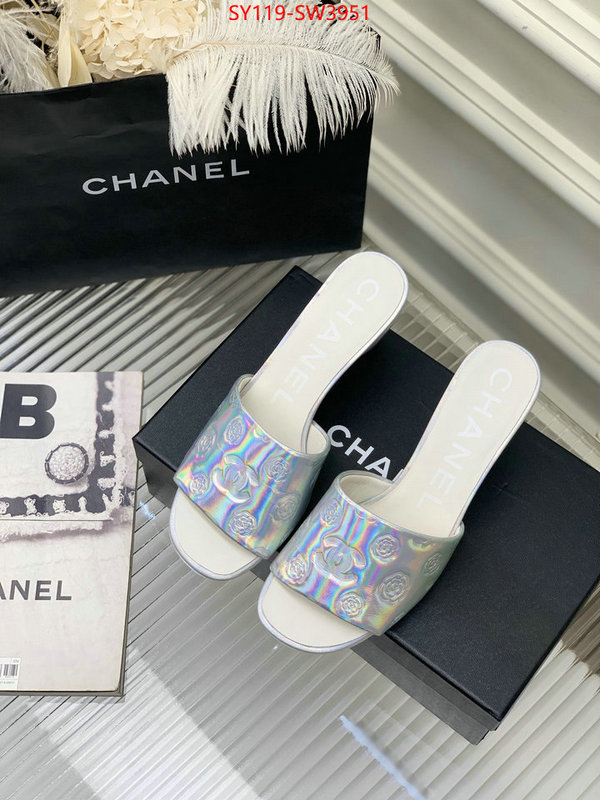 Women Shoes-Chanel,best site for replica , ID: SW3951,$: 119USD