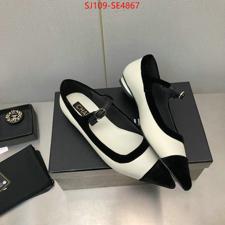 Women Shoes-Chanel,high-end designer , ID: SE4867,$: 109USD