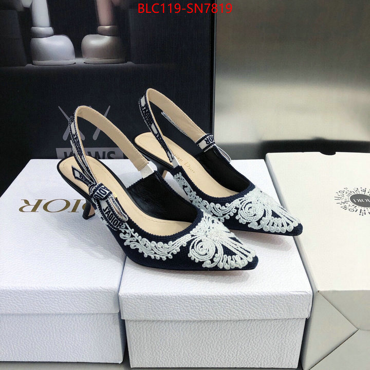 Women Shoes-Dior,replica aaaaa designer , ID: SN7819,$: 119USD