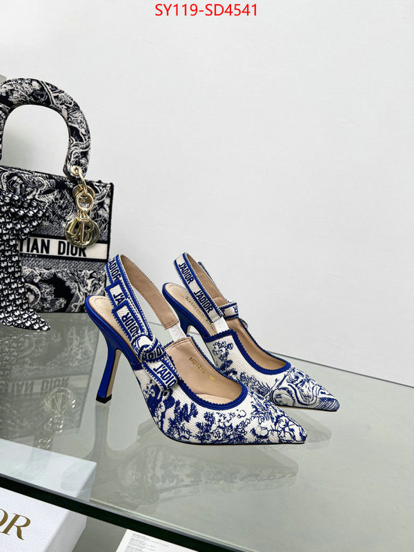 Women Shoes-Dior,most desired , ID: SD4541,$: 119USD