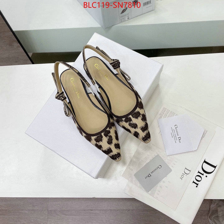 Women Shoes-Dior,7 star , ID: SN7810,$: 119USD