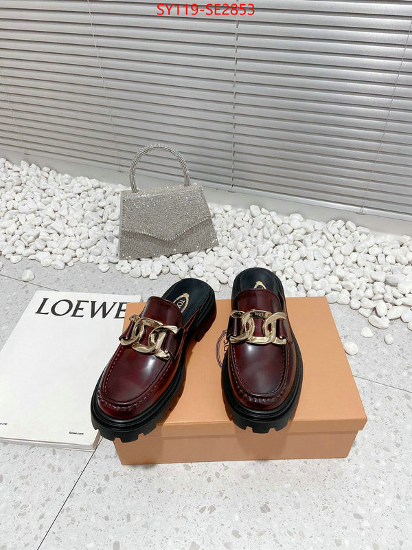 Women Shoes-Tods,top fake designer ,high quality replica designer , ID: SE2853,$: 119USD