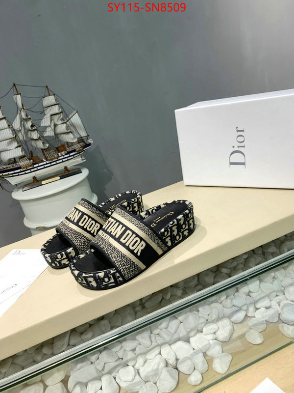 Women Shoes-Dior,sell online , ID: SN8509,$: 115USD