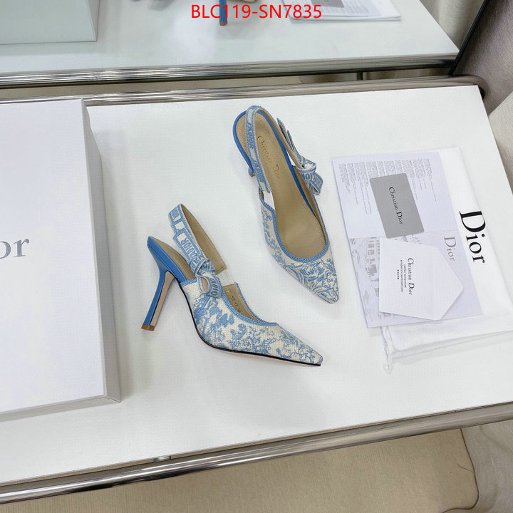 Women Shoes-Dior,styles & where to buy , ID: SN7835,$: 119USD