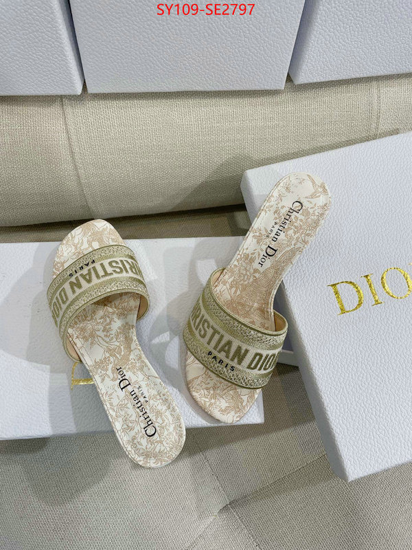 Women Shoes-Dior,shop the best high authentic quality replica , ID: SE2797,$: 109USD