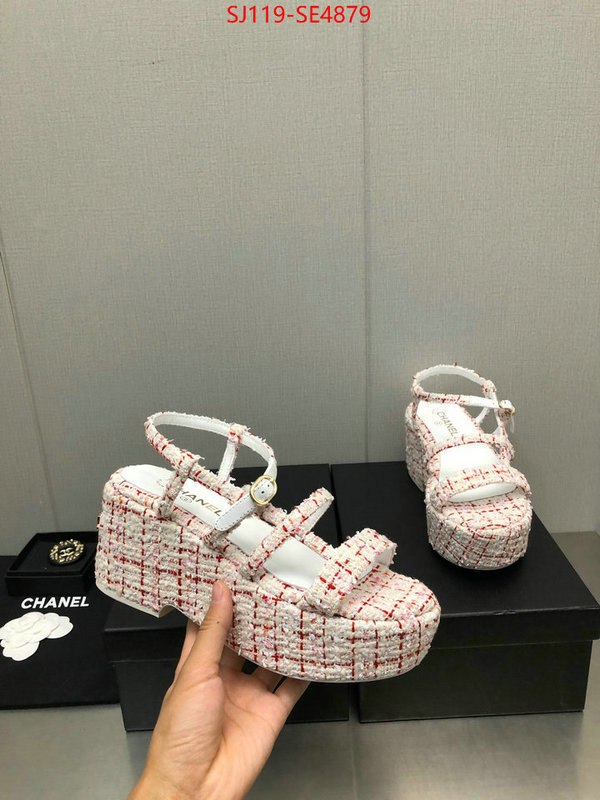 Women Shoes-Chanel,cheap replica designer , ID: SE4879,$: 119USD