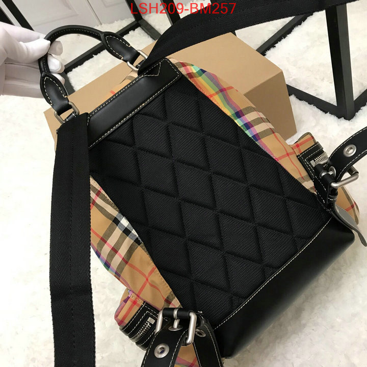 Burberry Bags(TOP)-Backpack-,quality aaaaa replica ,ID: BM257,$:209USD