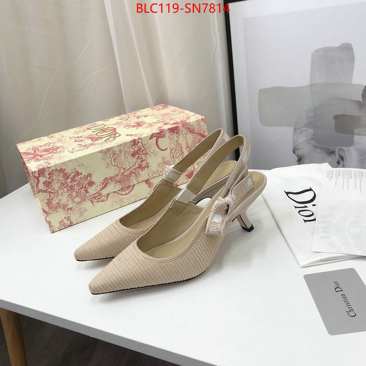 Women Shoes-Dior,how to find replica shop , ID: SN7814,$: 119USD