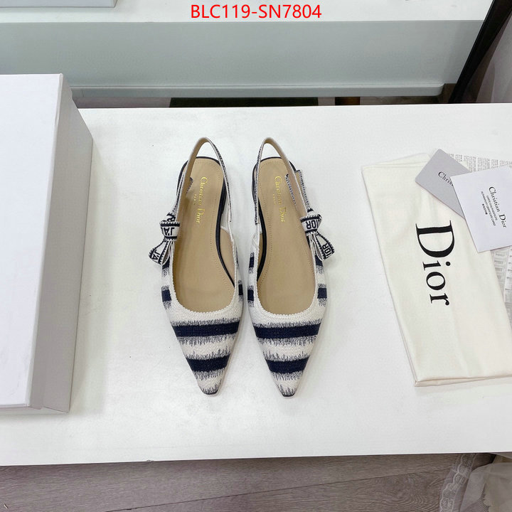 Women Shoes-Dior,wholesale designer shop , ID: SN7804,$: 119USD