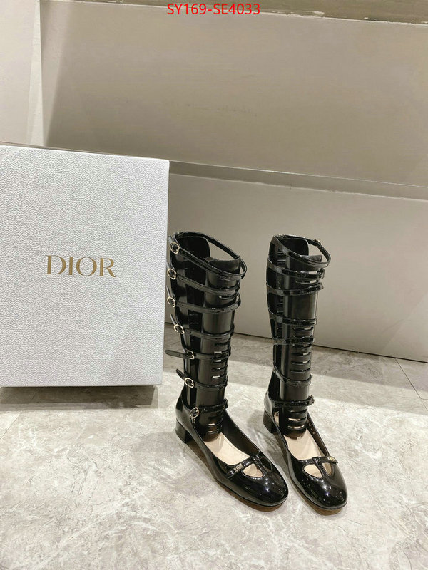 Women Shoes-Dior,top quality replica , ID: SE4033,$: 169USD