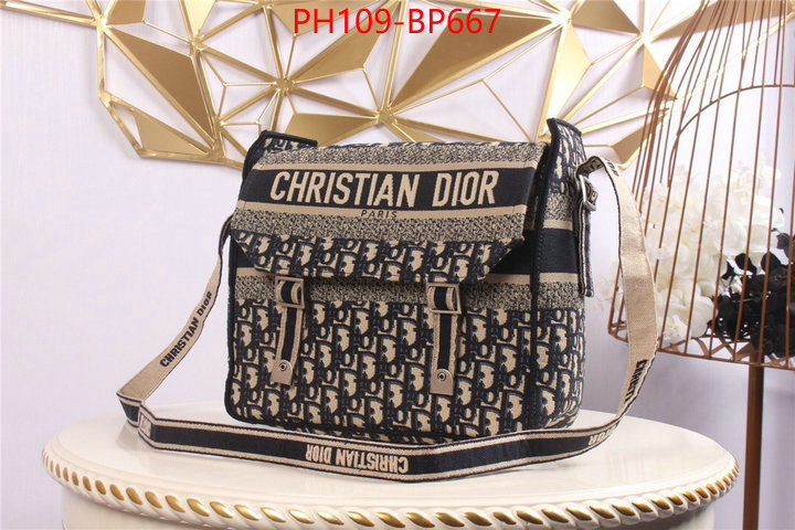 Dior Bags(4A)-Other Style-,ID: BP667,$: 109USD