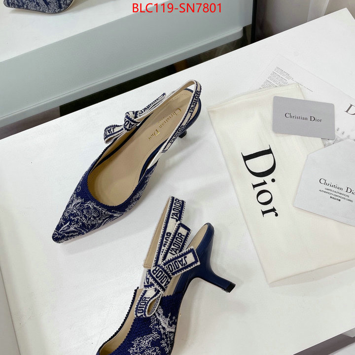 Women Shoes-Dior,what 1:1 replica , ID: SN7801,$: 119USD