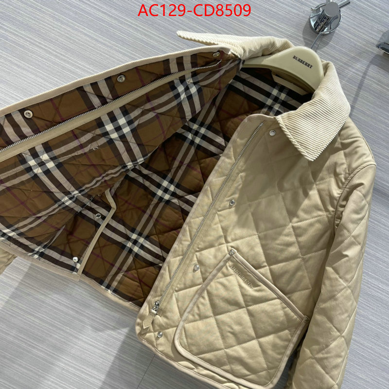 Down jacket Women-Burberry,high-end designer , ID: CD8509,$: 129USD