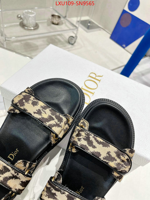 Women Shoes-Dior,perfect quality designer replica , ID: SN9565,$: 109USD