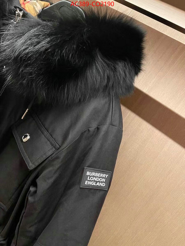 Down jacket Women-Burberry,2023 perfect replica designer , ID: CO2190,$: 389USD