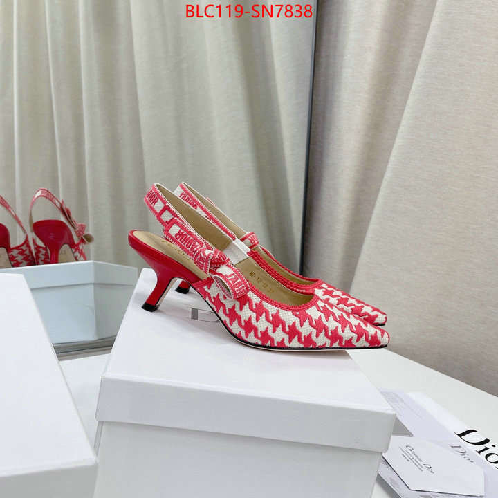 Women Shoes-Dior,can i buy replica , ID: SN7838,$: 119USD