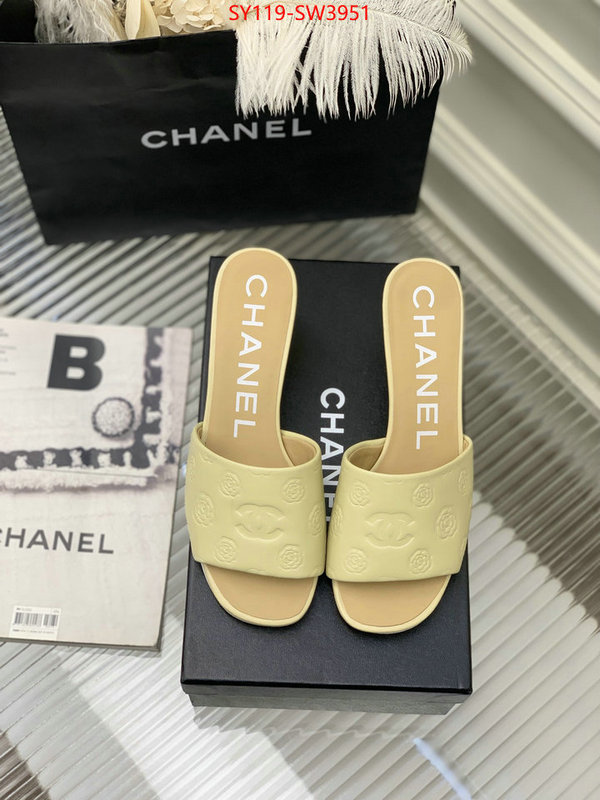 Women Shoes-Chanel,best site for replica , ID: SW3951,$: 119USD