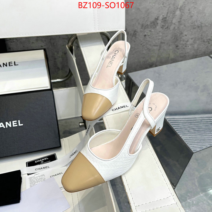 Women Shoes-Chanel,brand designer replica , ID: SO1067,$: 109USD