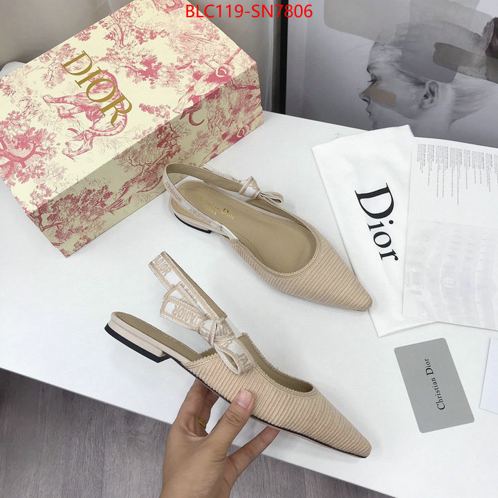 Women Shoes-Dior,how to find replica shop , ID: SN7806,$: 119USD