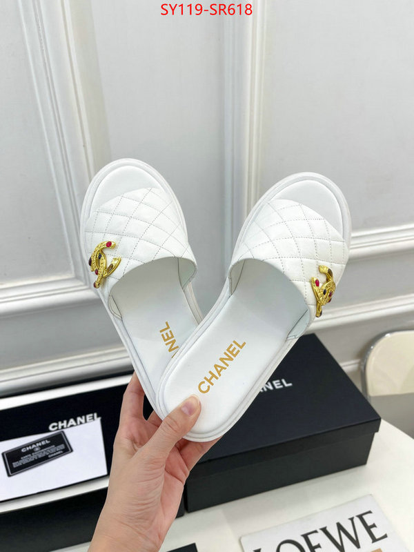 Women Shoes-Chanel,shop the best high authentic quality replica , ID: SR618,$: 119USD