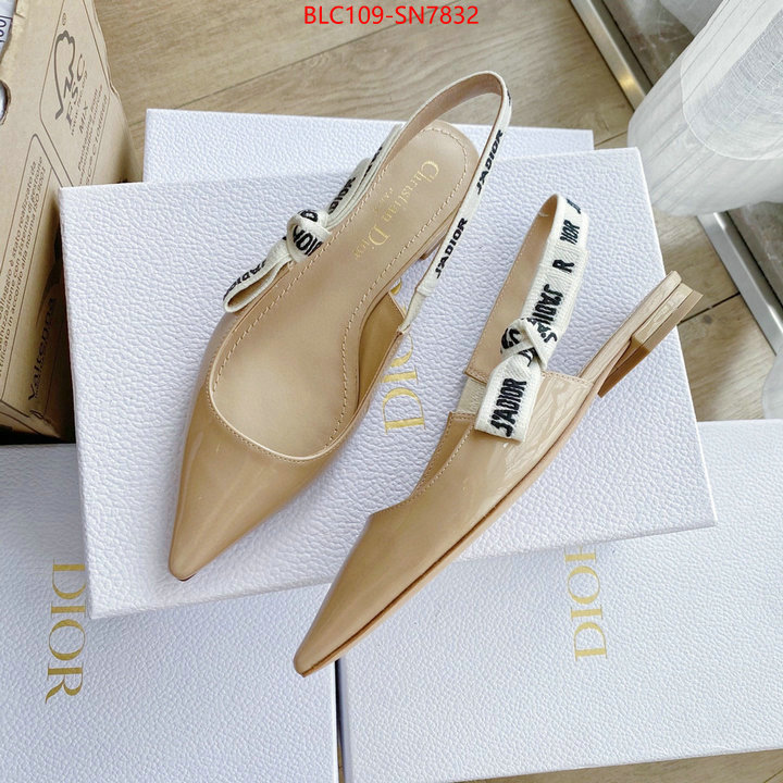 Women Shoes-Dior,2023 replica , ID: SN7832,$: 109USD