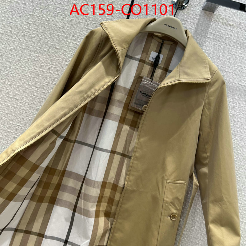 Down jacket Women-Burberry,buy 1:1 , ID: CO1101,$: 159USD