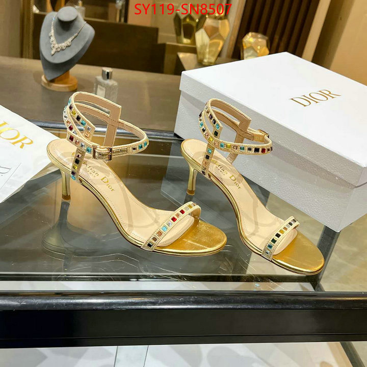 Women Shoes-Dior,new 2023 , ID: SN8507,$: 119USD