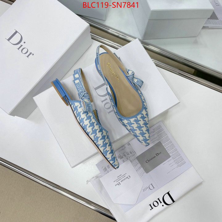 Women Shoes-Dior,outlet 1:1 replica , ID: SN7841,$: 119USD