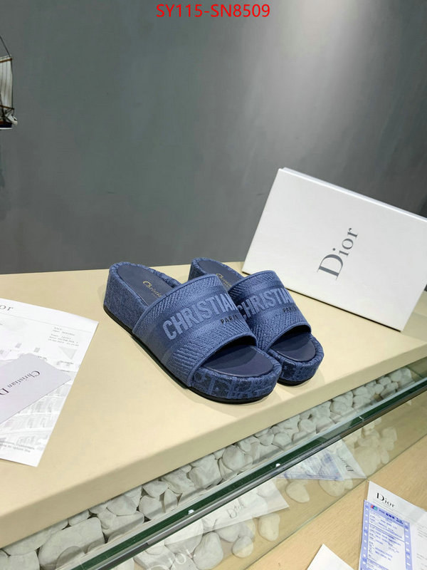 Women Shoes-Dior,sell online , ID: SN8509,$: 115USD