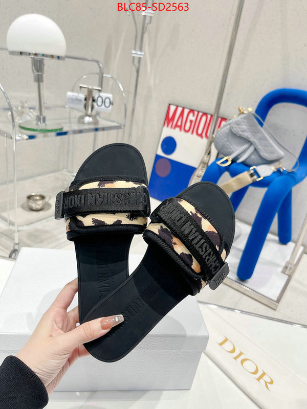 Women Shoes-Dior,high end designer , ID: SD2563,$: 85USD