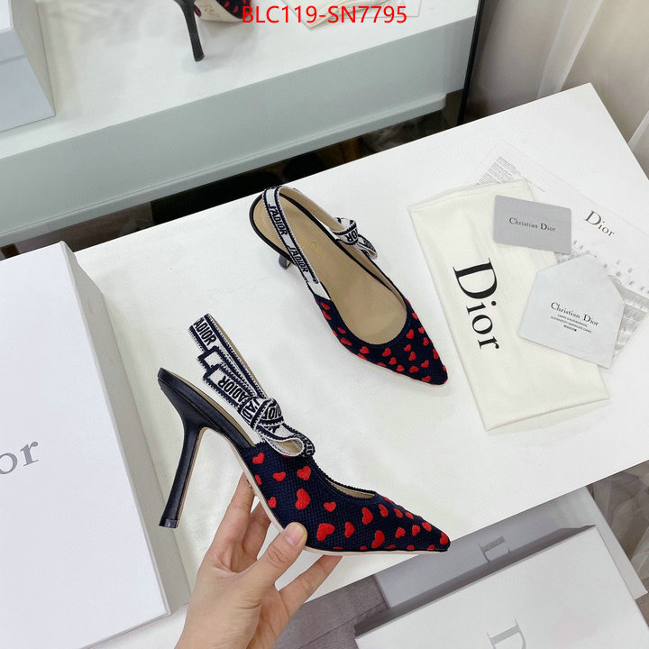 Women Shoes-Dior,what best replica sellers , ID: SN7795,$: 119USD