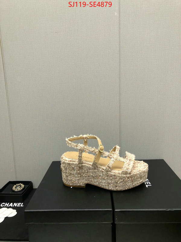 Women Shoes-Chanel,cheap replica designer , ID: SE4879,$: 119USD