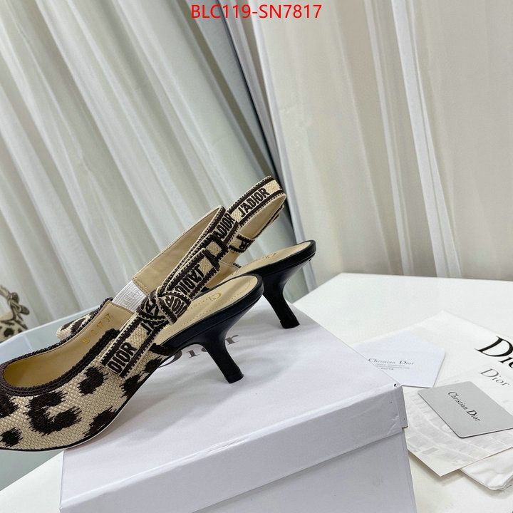 Women Shoes-Dior,top quality fake , ID: SN7817,$: 119USD