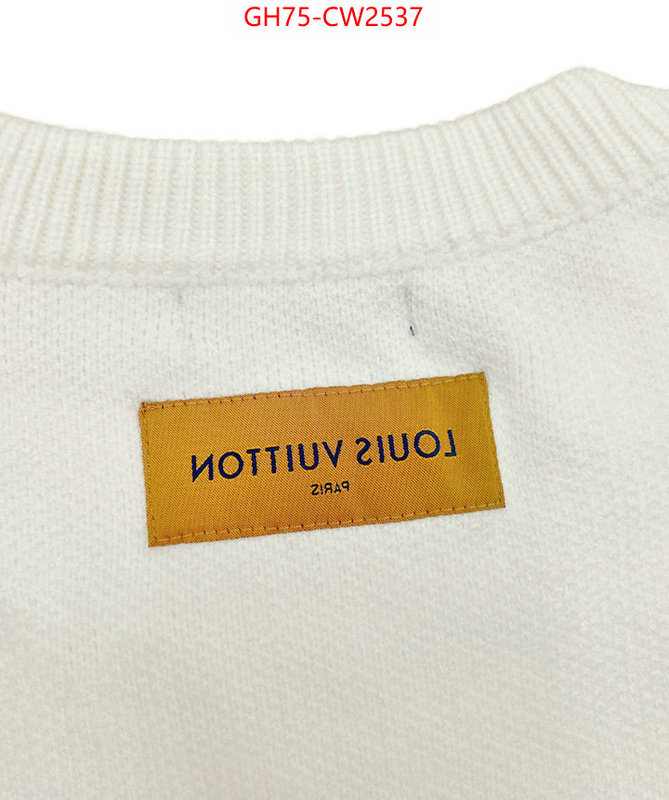 Clothing-LV,best capucines replica , ID: CW2537,$: 75USD