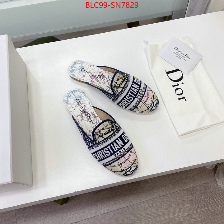 Women Shoes-Dior,website to buy replica , ID: SN7829,$: 99USD