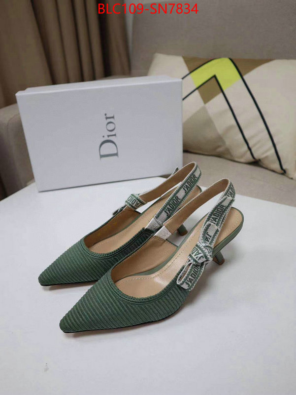 Women Shoes-Dior,the highest quality fake , ID: SN7834,$: 109USD