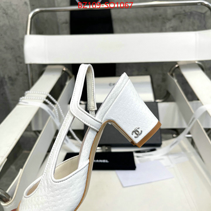 Women Shoes-Chanel,brand designer replica , ID: SO1067,$: 109USD