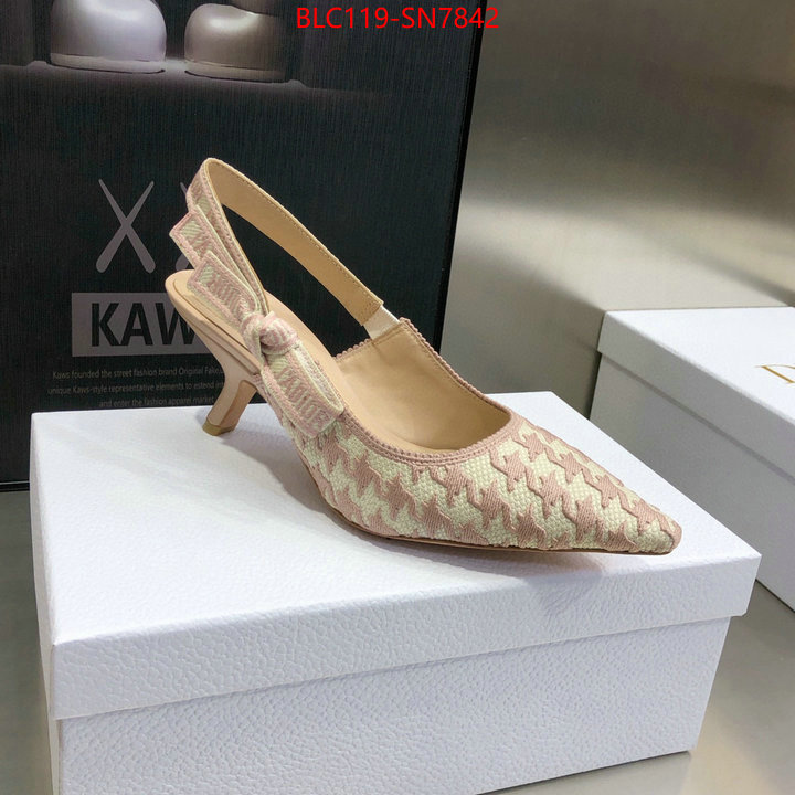 Women Shoes-Dior,designer 7 star replica , ID: SN7842,$: 119USD