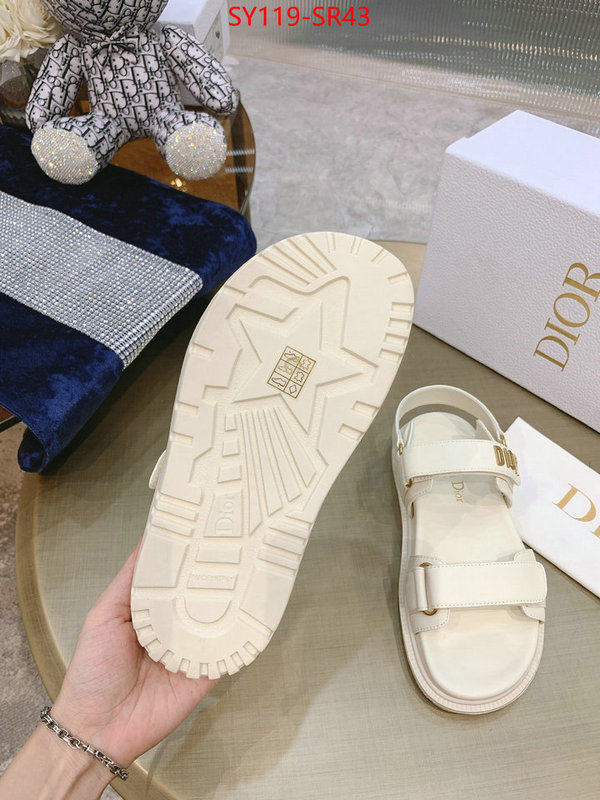 Women Shoes-Dior,is it ok to buy replica , ID: SR43,$: 119USD