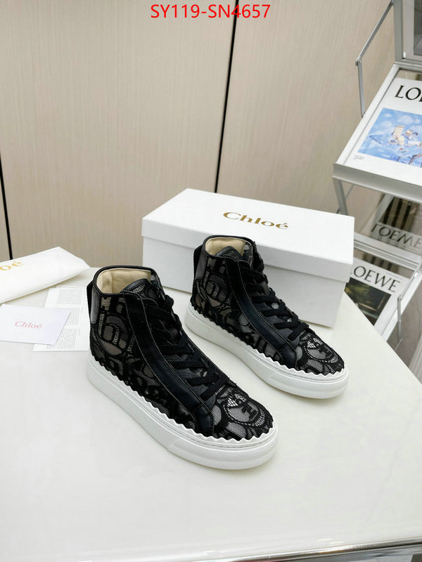 Women Shoes-Chloe,designer fake , ID: SN4657,$: 119USD